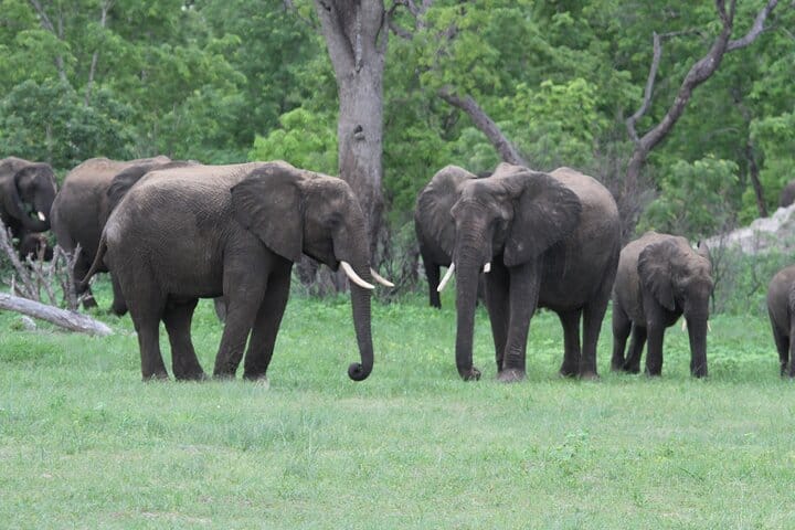 15 minutes scenic helicopter flight above Victoria Falls-Zimbabwe
