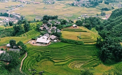 Sapa Trekking Tour from Hanoi with Homestay and Hotel Stays