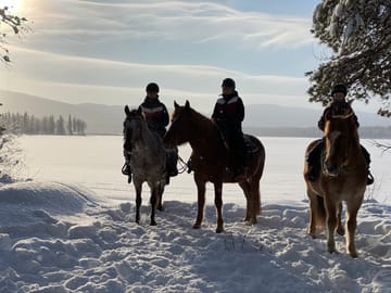 Horseback Riding Tour Through Snowy Landscapes in Kemijärvi