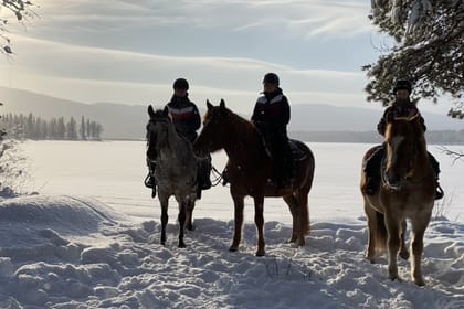 A small group horseback riding tour in the snow