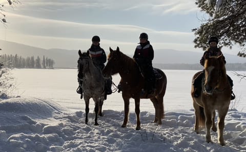 Horseback Riding Tour Through Snowy Landscapes in Kemijärvi