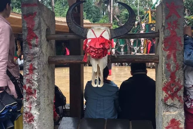 Private Day Tour in Kunming: Flower and Birds Market, Dianchi, Green Lake etc. 8