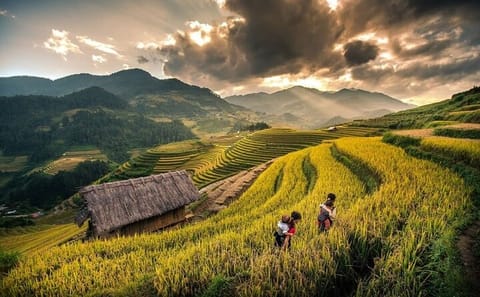 One Day Sapa Tour to Lao Chai and Ta Van Villages