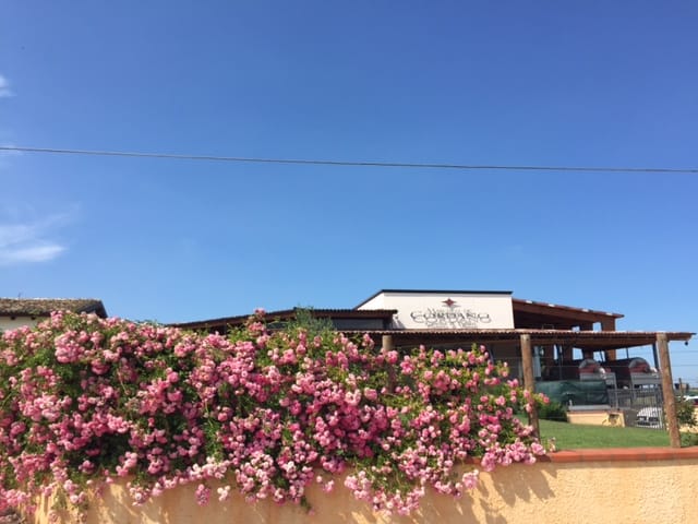 The "Marchesi de Cordano" countryside