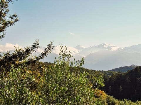 Private Tour - Douliana and Almyrida Nature Walk