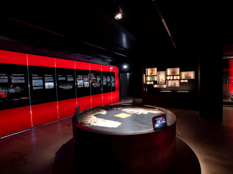 Private Skagafjordur; Glaumbær Turf Museum and 1238: The Battle of Iceland Exhibition, photo 5