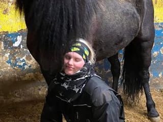 Horse Riding Tour and Explore Scenery in Gásir Akureyri, photo 9