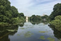4 Day London Private Tour with Stay at English Host Family 6
