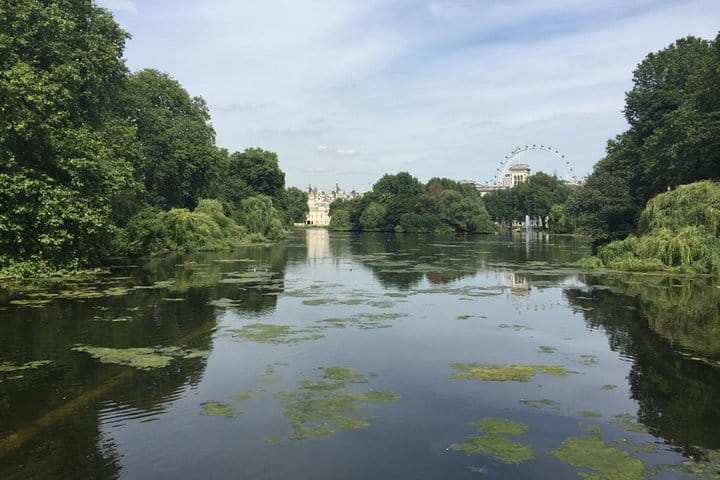 4 Day London Private Tour with Stay at English Host Family 6