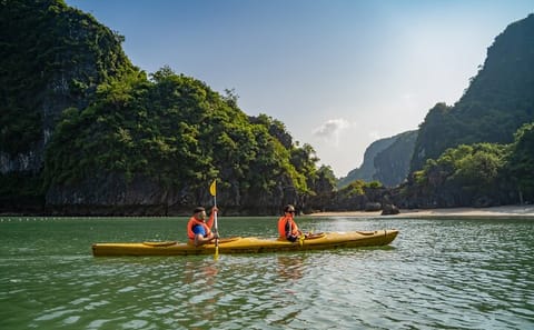 5-Day North Vietnam Tour: Hanoi, Ninh Bình, and Halong Bay