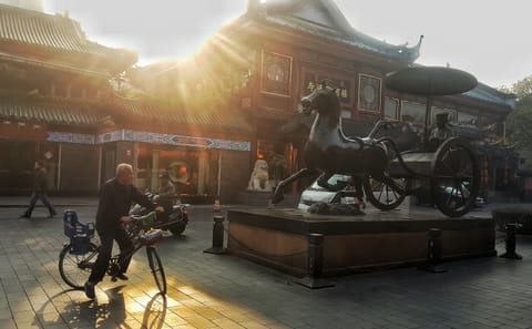 Panda And Cultural Chengdu 1 day tour