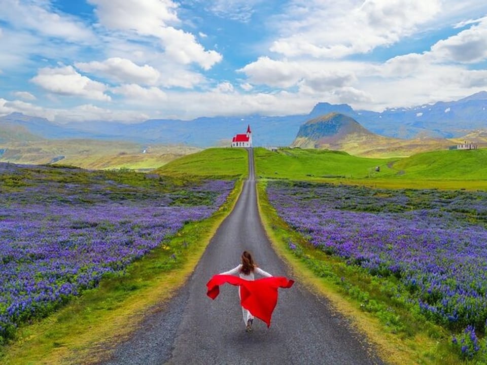 Snæfellsnes Peninsula and Stykkishólmur Day Tour guided in Chinese冰岛斯奈山中文一日团 — Magic Iceland Travel