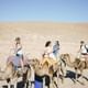 Agafay Desert Package, Quad Bike, Camel Ride and Dinner Show