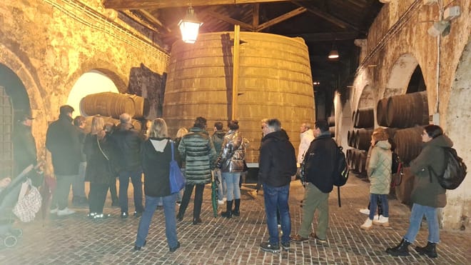 Private Porto Full-Day Tour: Cathedral, Lello and Wine Tastings 4