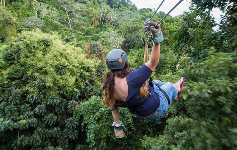 Jungle top Zipline Suspension Bridges, Monkeys and Sloth Hangout