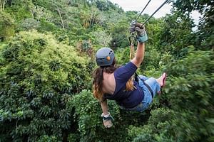 Jungle top Zipline Suspension Bridges, Monkeys and Sloth Hangout 