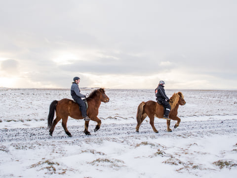 02D - Midwinter Warmth, photo 5