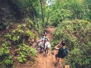 The Rainforest Tour - Small Group Trip with Tasting 4