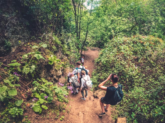 The Rainforest Tour - Small Group Trip with Tasting photo 4