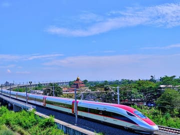 Hangzhou Private Customized Day Trip from SH by Bullet Train