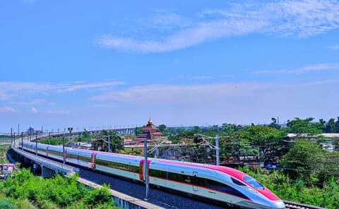 Private Day Trip to Hangzhou from Shanghai by Bullet Train