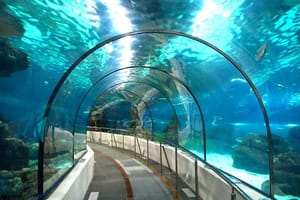 Grand Aquarium Museum Hurghada With Transfer in Hughada