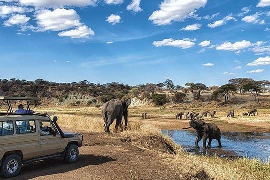 9-Days Discover Kenya Safaris
