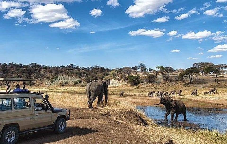 9-Days Discover Kenya Safaris