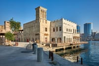 Old & Modern Dubai Tour with Blue Mosque and Miracle Garden 10