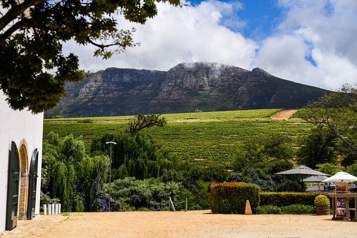 Cape Town Customisable Premium Wine Tour & Tastings