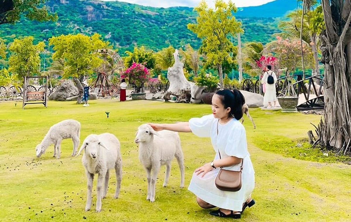 Rai Cave Grape Farm Sheep Field Nha Trang Adventure Tour