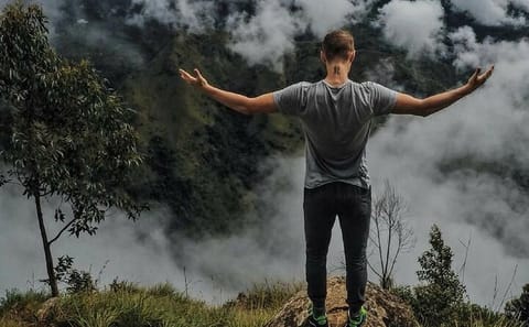 Ella Day Tour from Galle with Scenic Highlights