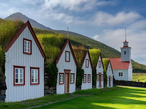 Akureyri Port: Small Group Godafoss Waterfall and Laufas Turf House Tour, photo 2