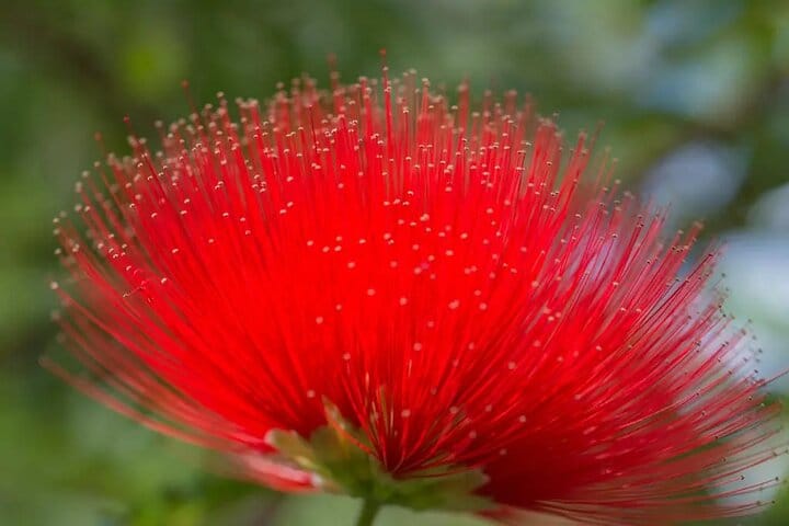 Half Day Private Tour to Botanical Garden in Chania 2