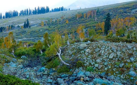 Day Trip to Sonamarg from Srinagar: Explore the Meadow of Gold