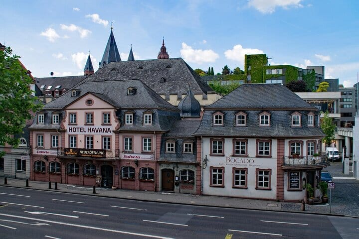 Mainz Private Guided Walking Tour with Local Guide 7