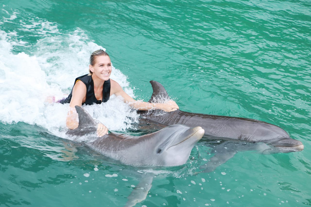 Dolphin Royal Swim at Montego Bay 2