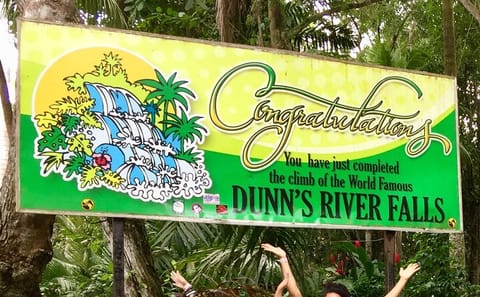 Dunn's River Falls and Bob Marley Mausoleum Full-Day Tour