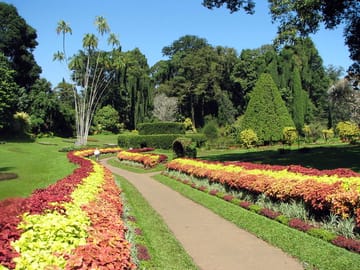 Cultural Tour of Katunayake, Sri Lanka for Budget Travelers