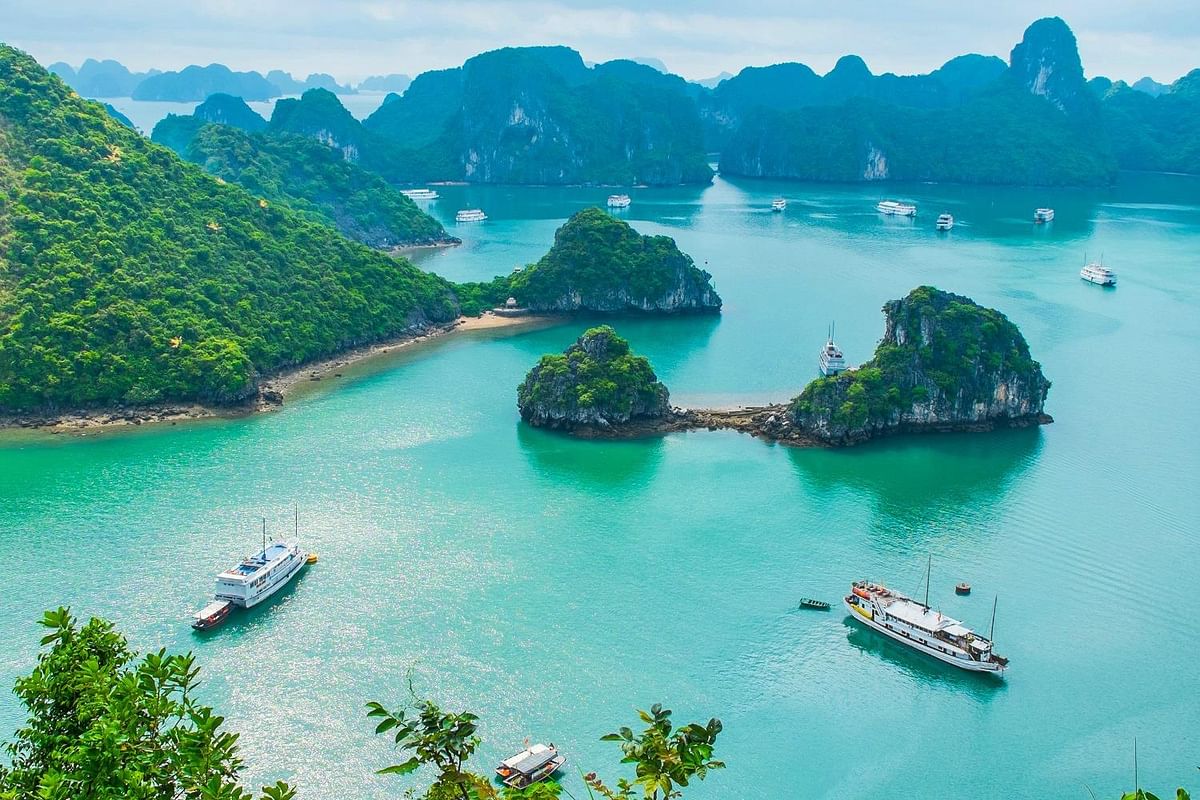 Discover Vietnam: Hanoi, Halong Bay, Hoi An, Ho Chi Minh & Mekong Delta Tour