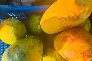 Cultural Day Tour of Placencia in the Stann Creek District