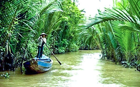 Private Day Tour of My Tho from Ho Chi Minh City