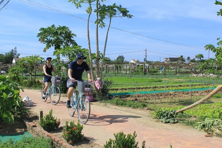 Half-day Farm To Table Adventure In Tra Que Village
