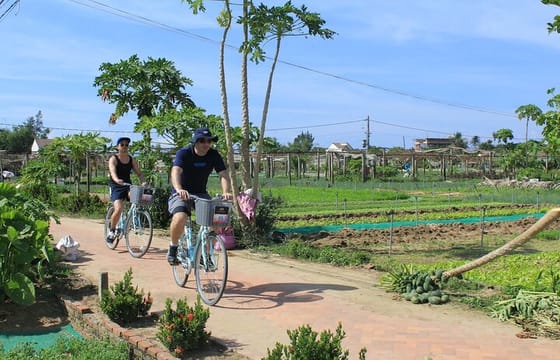 Half-day Farm To Table Adventure In Tra Que Village