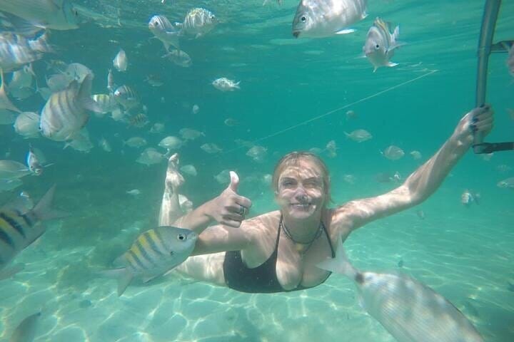 Escape to Paradise: A Speedboat Adventure from Rio to Angra's Islands