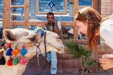 Desert Stargazing and Camel Ride in Marsa Alam, Egypt