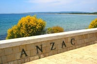 Istanbul: Gallipoli Peninsula Day Tour with Lunch and Tickets 5
