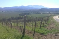 Private Maipo Valley Wine Experience from Santiago 6