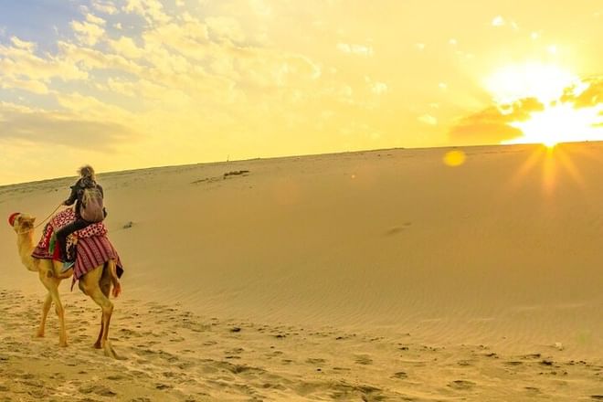 Morning Safari Escape Golden Hour in the Desert With Transfers
