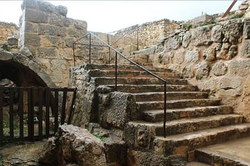 Private Tour to Jerash and Ajloun from Dead Sea